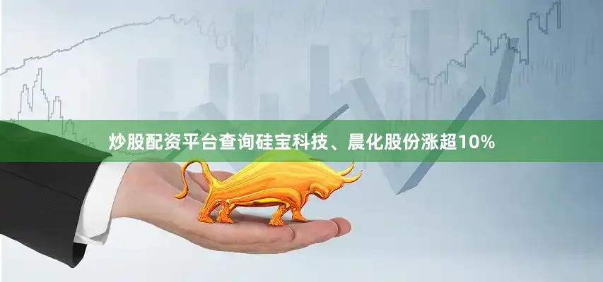 炒股配资平台查询硅宝科技、晨化股份涨超10%