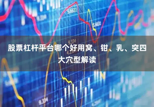 股票杠杆平台哪个好用窝、钳、乳、突四大穴型解读